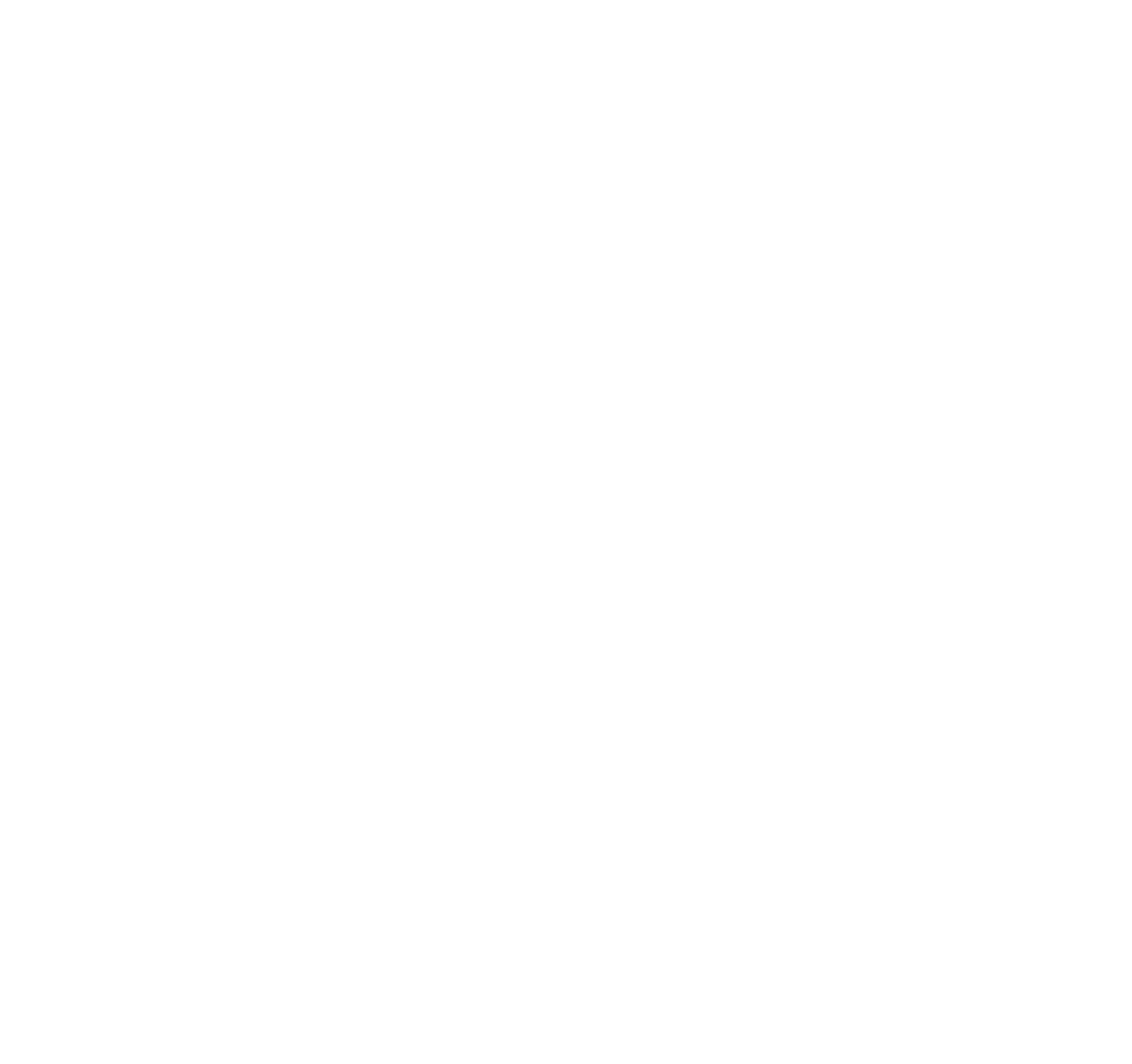 Vienna Vikings Logo
