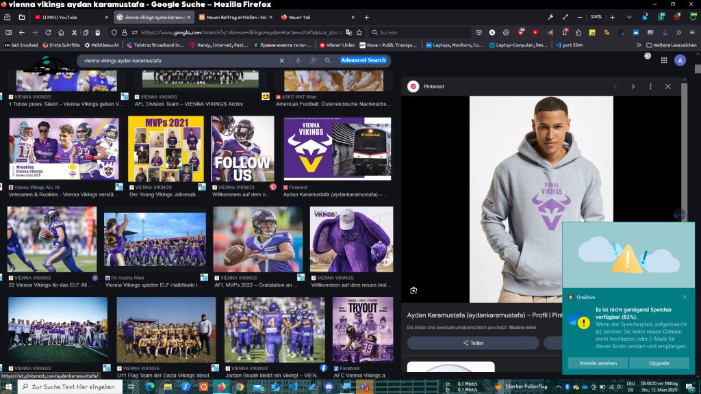 ja ich weiß nicht warum das anzeigt.
(ich haben den grauen hoodie auch)

https://shop.europeanleague.football/en-eu/products/vienna-vikings-hoodie-2024-2/ADtranz